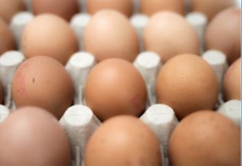 Brown eggs in an egg carton