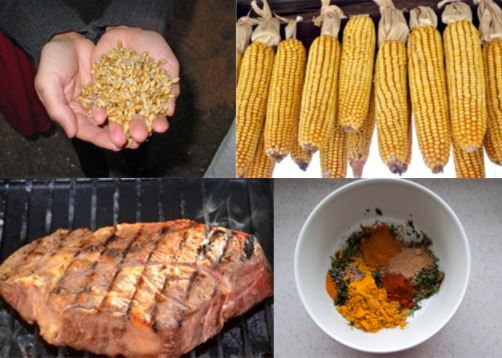 Grain, corn meat and other foods