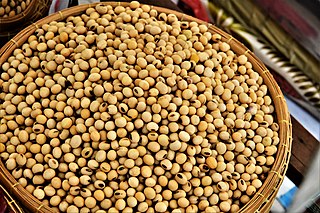 Soybeans