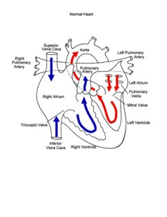 Normal Heart illustration