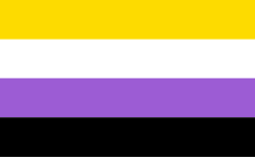 Nonbinary flag