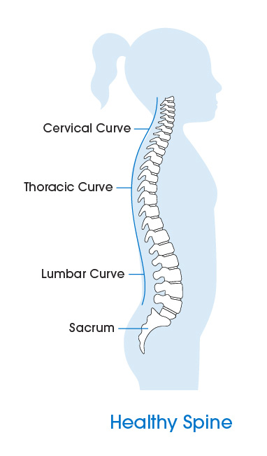 Healthy spine