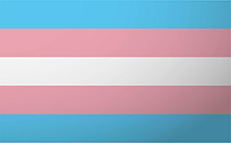 Transgender flag