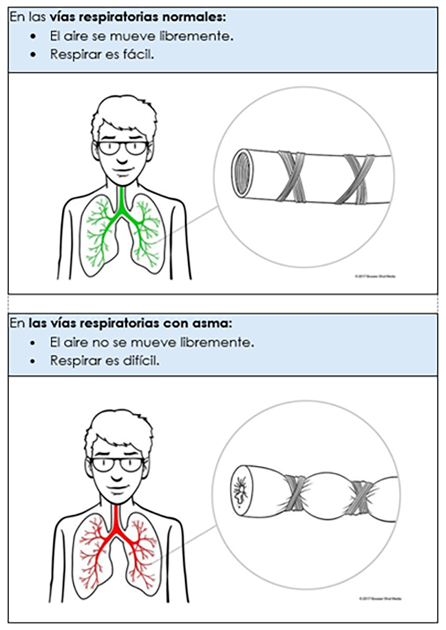 lung