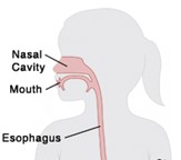 1435 Esophagram