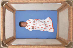 above shot of baby in crib