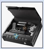 Biometric lock box