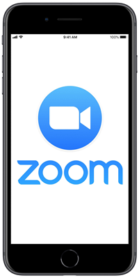 Zoom icon logo
