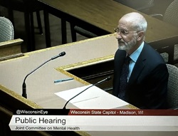 David Whelan speaking before state committees