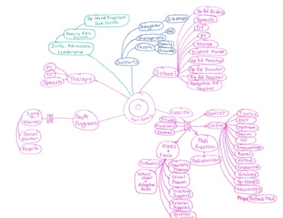 Olivia's Care Map