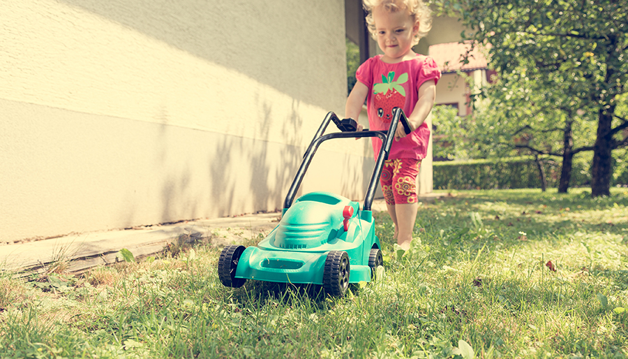 name something you've accidentally run over with your lawn mower