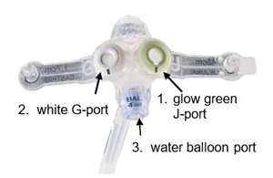 G port